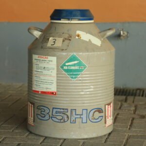 Lote 131 - BOTIJÃO N°3