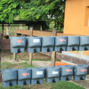 Lote 133 - 15 MAMADEIRAS MILK BAR