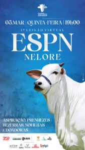 1-leilao-virtual-espn-nelore