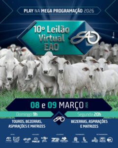 10-leilao-virtual-eao-touros-matrizes-e-bezerras