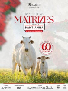 10-leilao-virtual-matrizes-fazenda-sant-anna