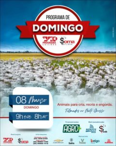 144-programa-de-domingo-programa-e-soma-leiloes