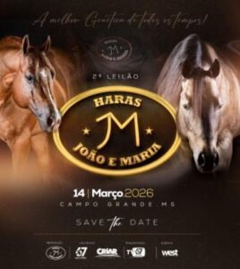 2-leilao-haras-joao-e-maria