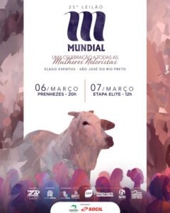 25-leilao-mundial-etapa-elite