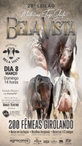 28-leilao-virtual-matrizes-top-leite-bela-vista