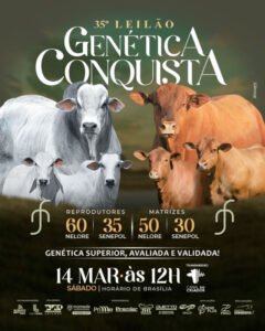 35-leilao-genetica-conquista