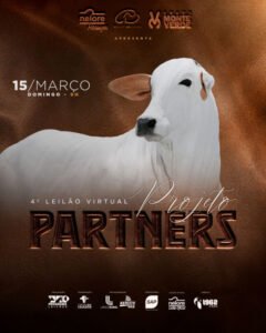 4-leilao-projeto-partners