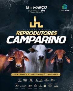 5-leilao-virtual-reprodutores-camparino