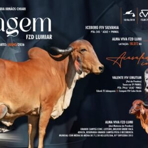 Lote 21 - Imagem FZD Lumiar