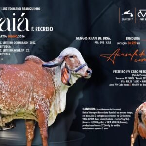 Lote 29 - Indaiá F. Recreio