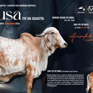 Lote 17 - Deusa Fiv Da Qualyta