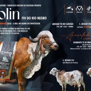 Lote 09 - Kaolin Fiv do Rio Negro