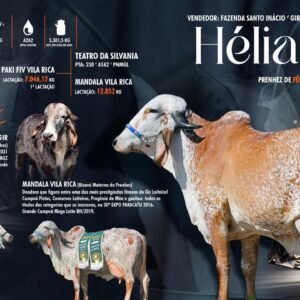 Lote 07 - Hélia Fiv MS Santa Fé