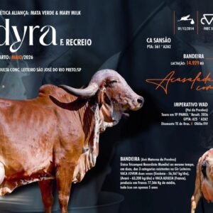 Lote 23 - Endyra F. Recreio