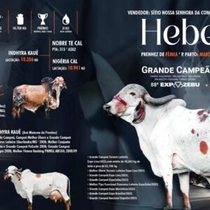 Lote 01 - Hebbe Milk Center