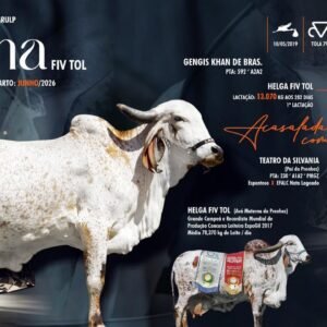 Lote 22 - Nena Fiv Tol