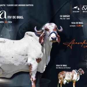 Lote 16 - Lêda Fiv De Bras