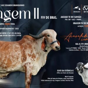 Lote 30 - Imagem II Fiv De Bras