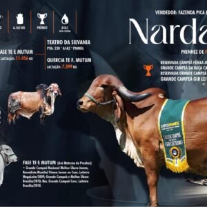 Lote 08 - Narda Fiv F. Mutum