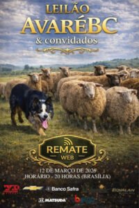 leilao-avare-bc-convidados