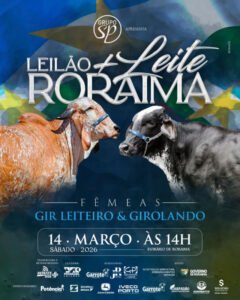 leilao-leite-roraima-femeas