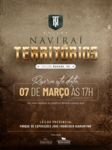 leilao-navirai-territorios-edicao-maraba