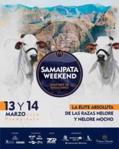 leilao-samaipata-weekend