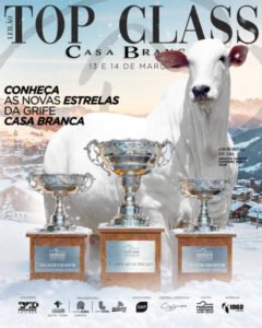 leilao-top-class-casa-branca