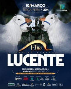 leilao-virtual-elite-lucente-2026