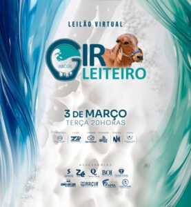 leilao-virtual-gir-leiteiro-abcgil