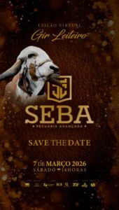 leilao-virtual-gir-leiteiro-jc-seba