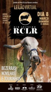 leilao-virtual-gir-leiteiro-rclr-fazenda-claudia