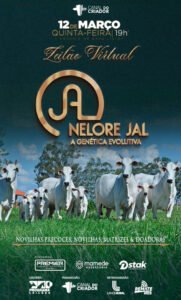 leilao-virtual-nelore-jal-a-genetica-evolutiva