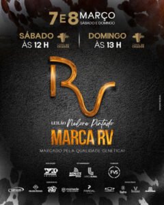 leilao-virtual-nelore-pintado-marca-rv