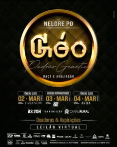 leilao-virtual-nelore-po-geo-padrao-genetico-femeas-elite.