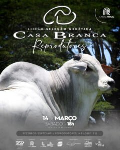 leilao-virtual-selecao-genetica-casa-branca-reprodutores