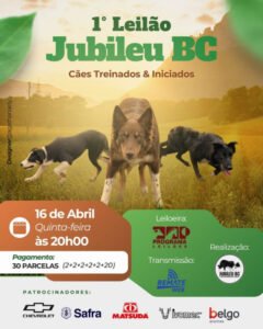 1-leilao-virtual-jubileu-bc