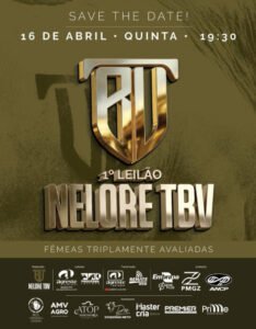 1-leilao-virtual-nelore-tbv