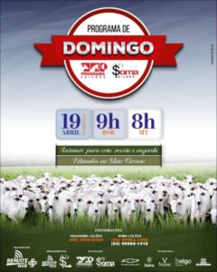 149-programa-de-domingo-programa-e-soma-leiloes