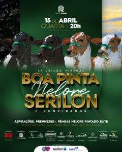 4-leilao-virtual-boa-pinta-nelore-serilon-e-convidados