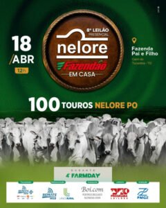 8-leilao-presencial-nelore-fazendao-em-casa-touros