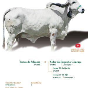 Lote 01 - Solar do Engenho Couraça