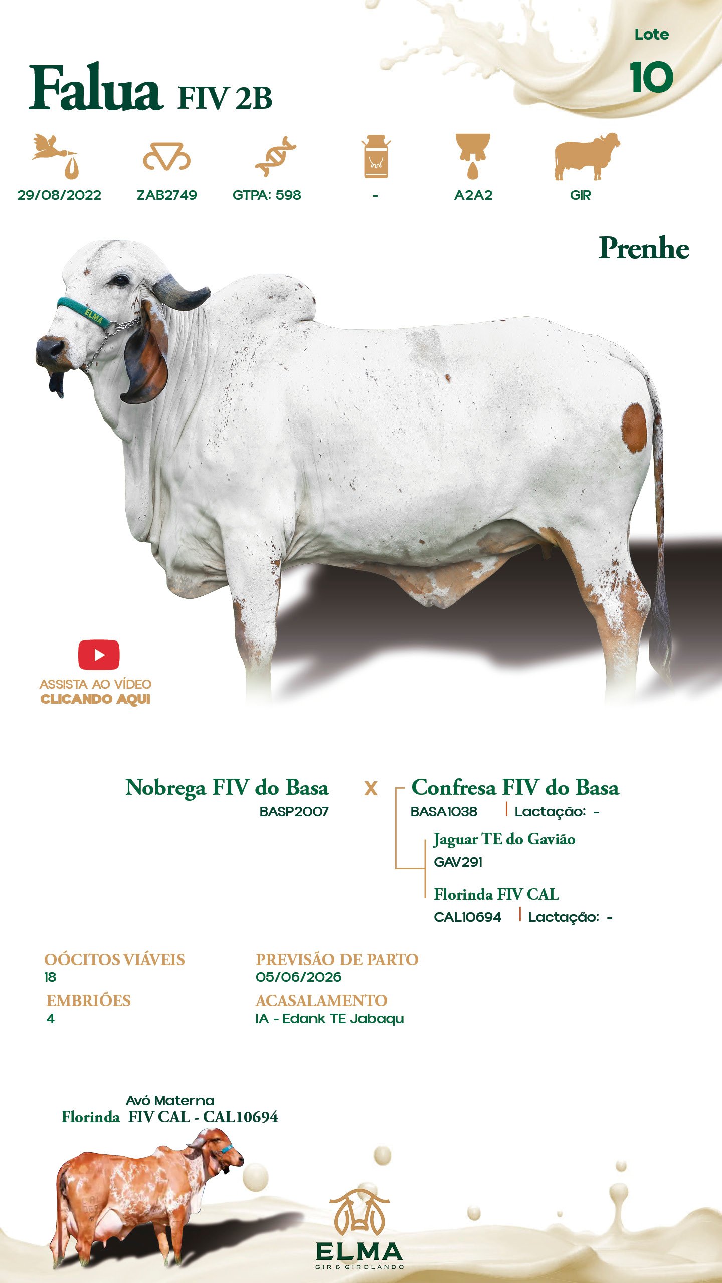 Lote 10 – Falua FIV 2B