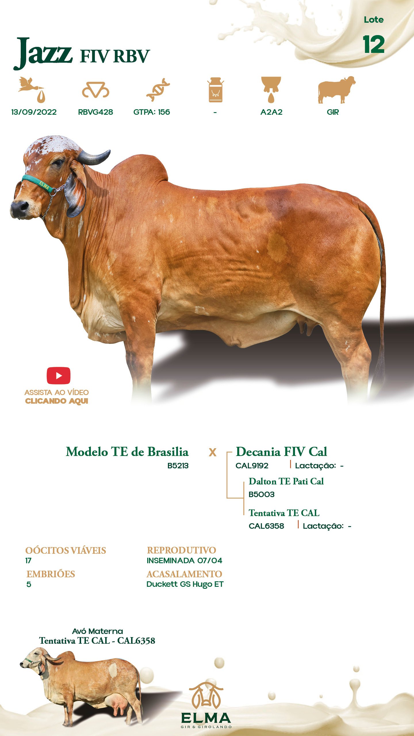 Lote 12 – Jazz FIV RBV