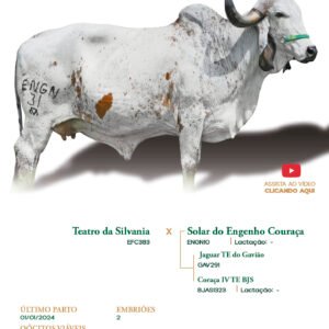 Lote 02 - Solar do Engenho Champanhe