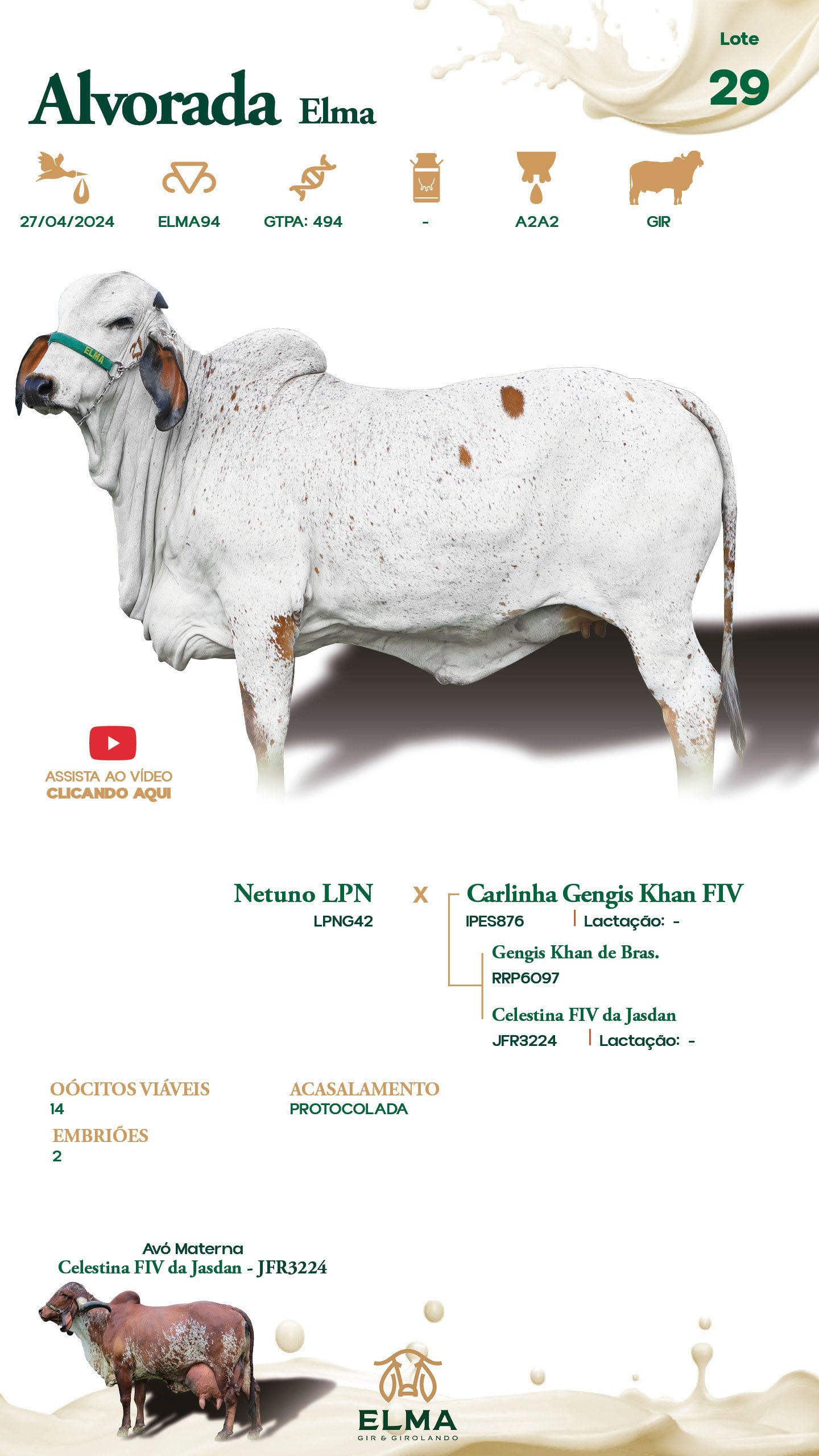 Lote 29 – Alvorada Elma