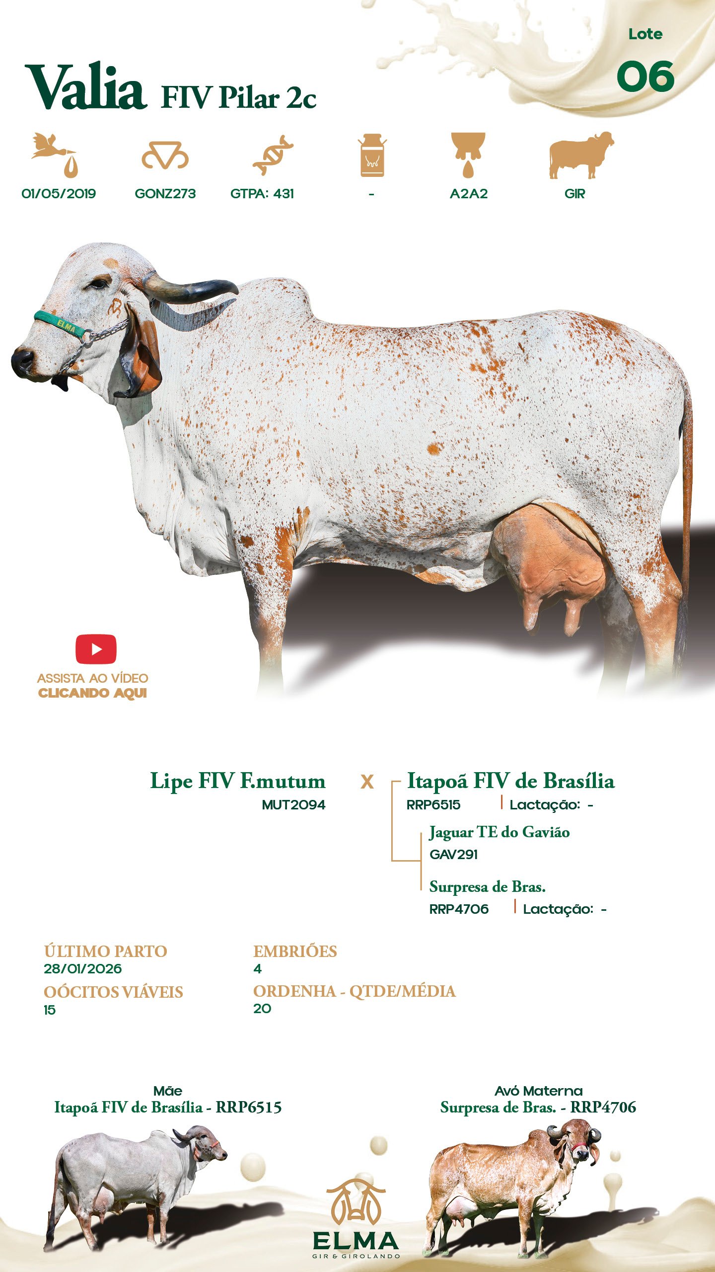 Lote 06 – Valia FIV Pilar 2c