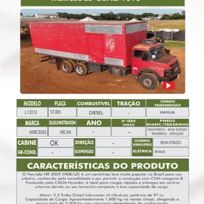 DE 019 – MERCEDES L-1313