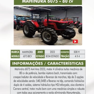 DT 04 – MAHINDRA 6075