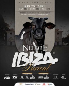 leilao-nelore-ibiza-etapa-surreal.